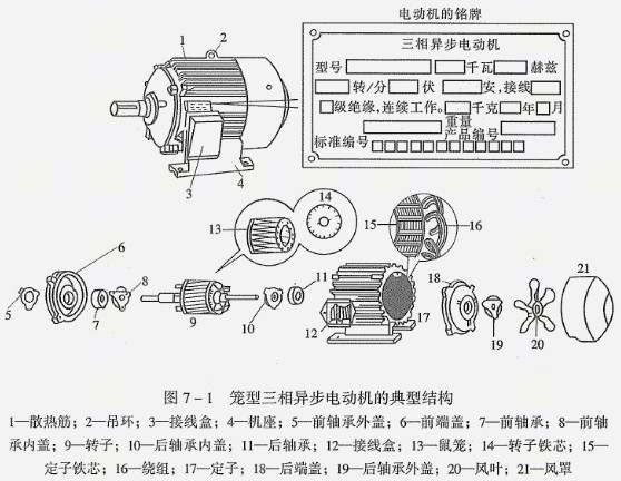 籠型三相異步電動機的典型結(jié)構(gòu)